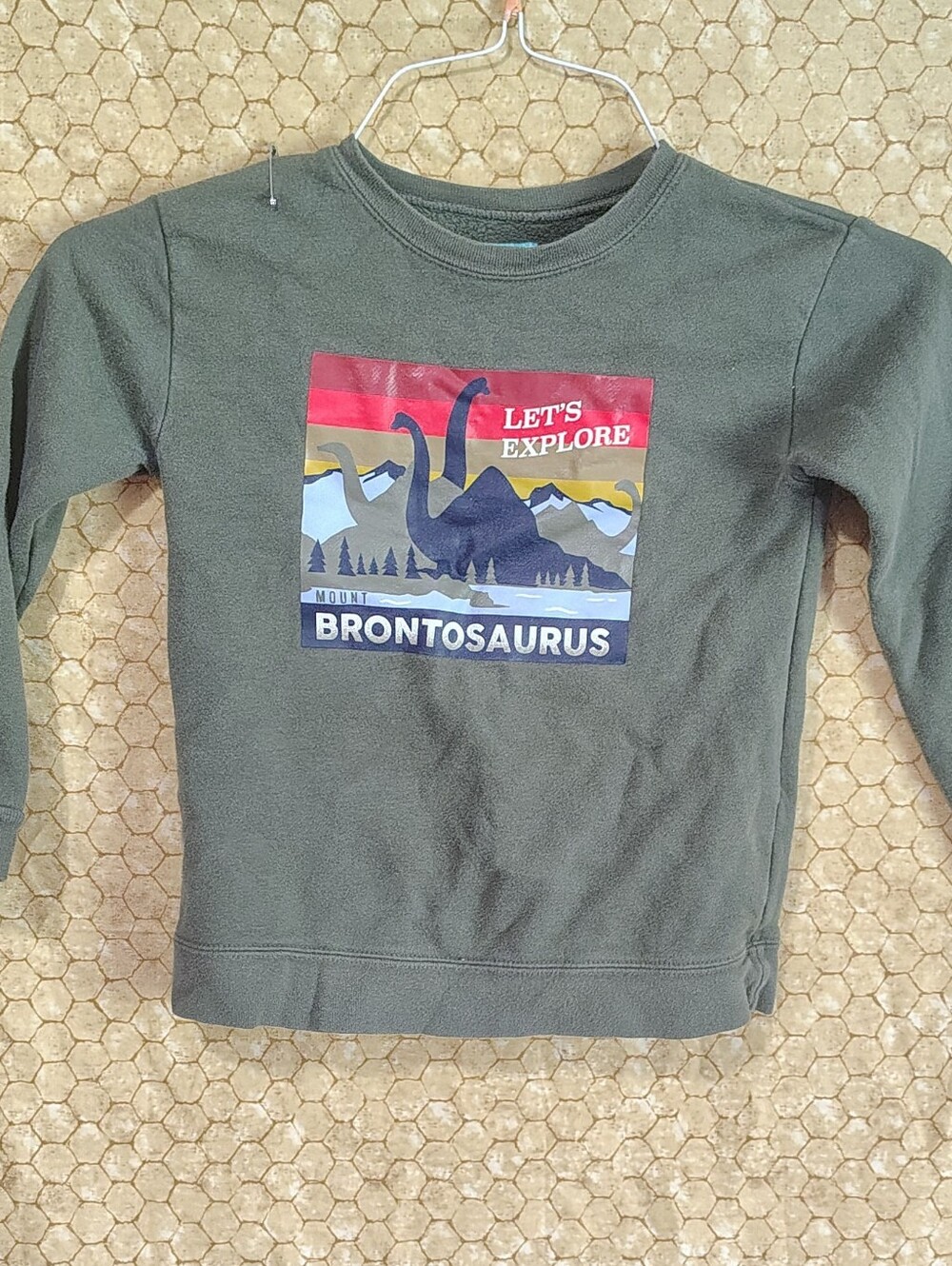 Size 5T Dinosaur Sweatshirt Green Brontosaurus